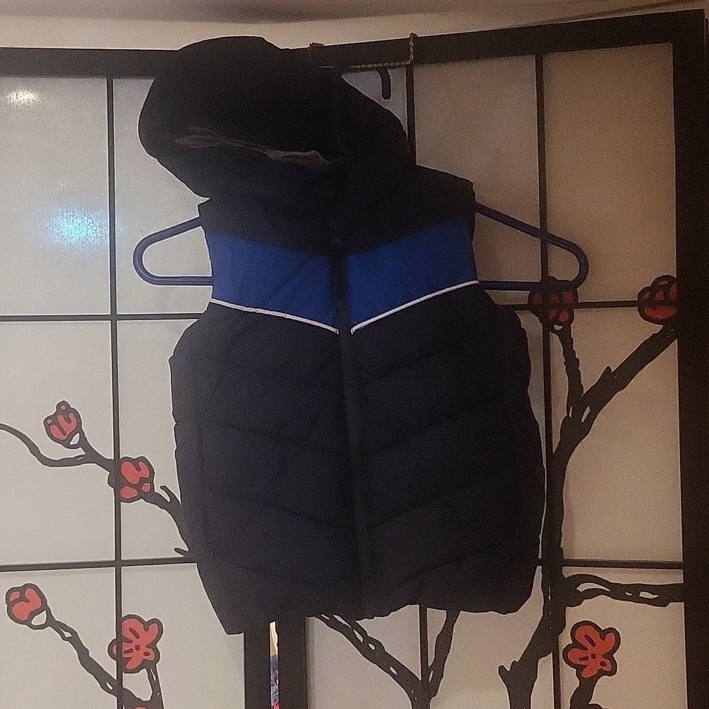 Fall/winter vest - Picture 1 of 3